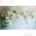 Tło fotograficzne 2879 Tło fotograficzne 2879